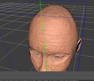 sdkOnlyHead2